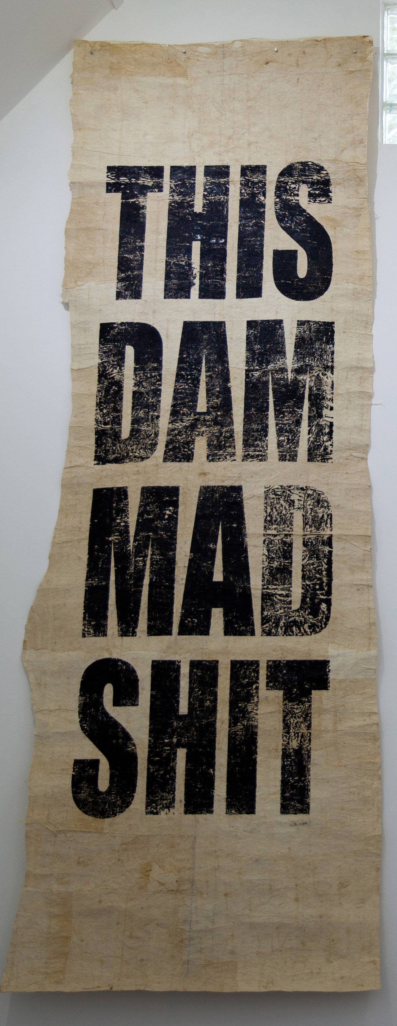 Untitled (THIS/DAM/MAD/SHIT)
