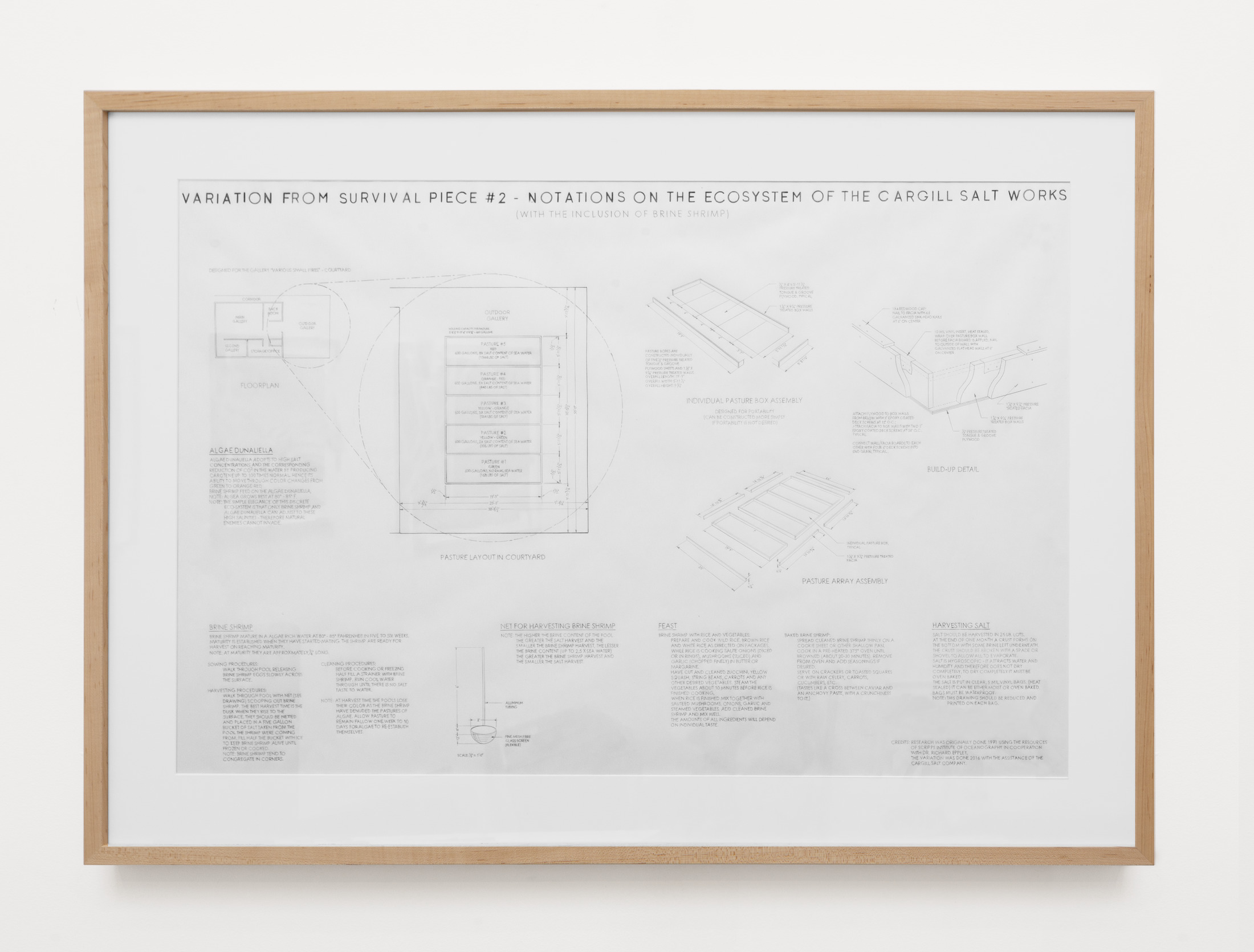 Variation From Survival Piece #2: Notations on the Ecosystem of the Cargill Salt Works