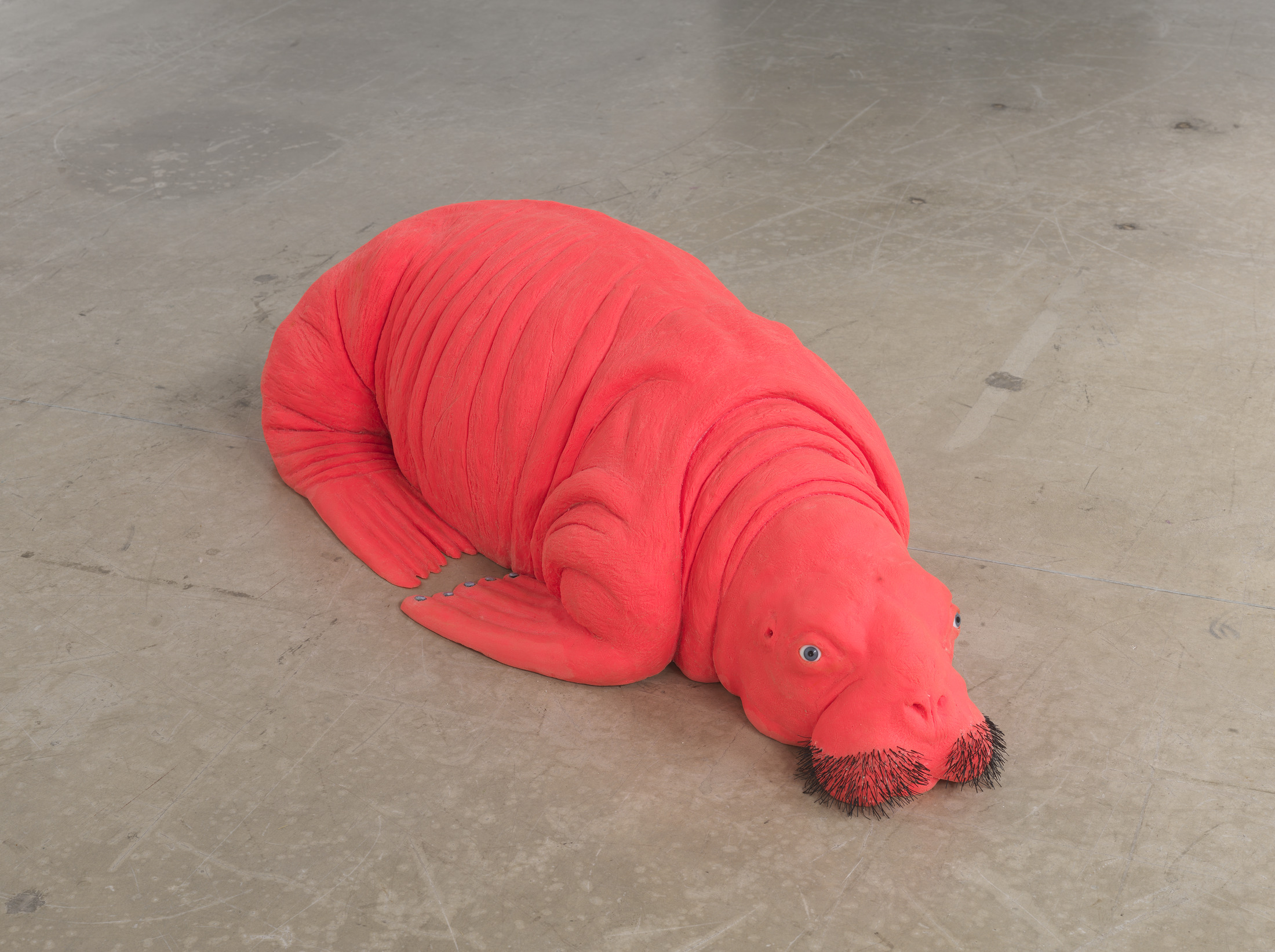 Red Walrus